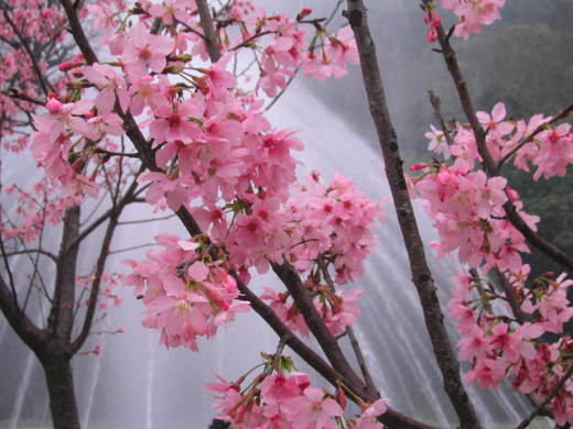 圖檔