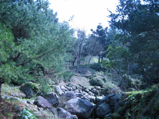 圖檔