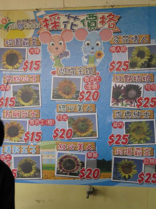 圖檔